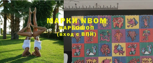 прущие грибы Каменногорск