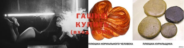 СК Сатка