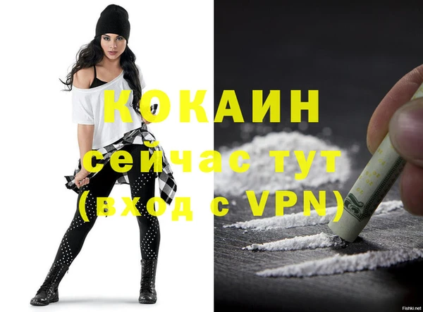 ECSTASY Каменка