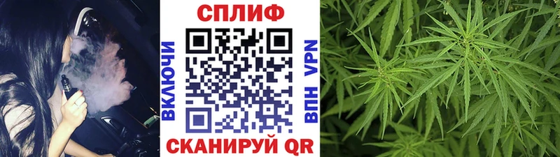 Канабис сатива  где найти наркотики  Иннополис 